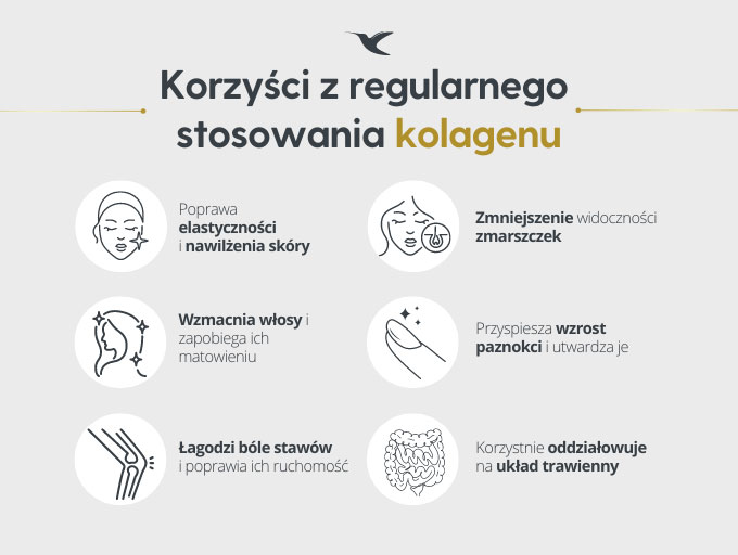 infografika Desktop